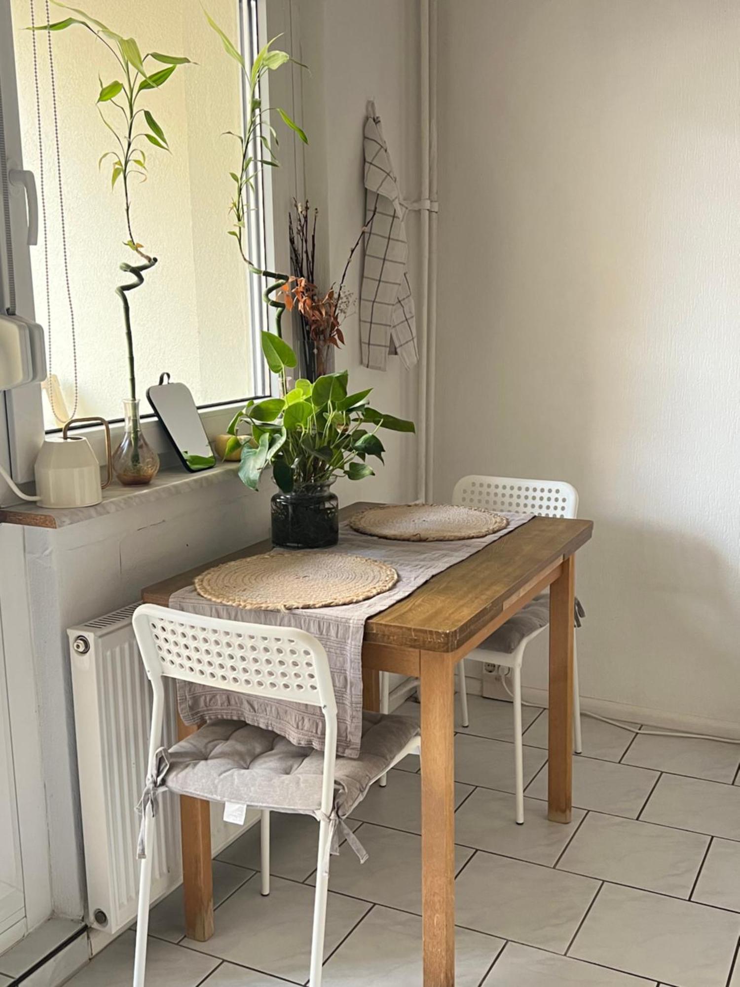 Homestay Benzi Эрфурт Экстерьер фото